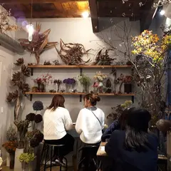 コチト