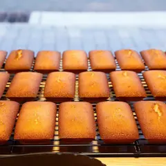 大阪ハニーosakahoney
