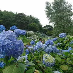 舞鶴自然文化園