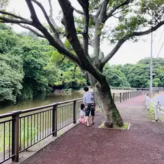 夫婦池公園