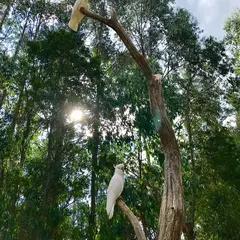グランツ・ピクニック・グラウンド