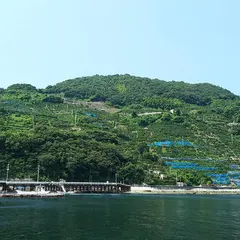 おさかな牧場「シーロード八幡浜」