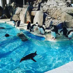 三浦市