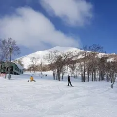 ニセコアンヌプリ国際スキー場