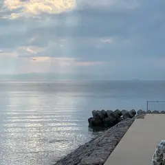 知多半島道路