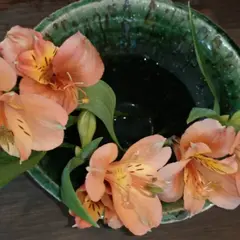陶工房ippo