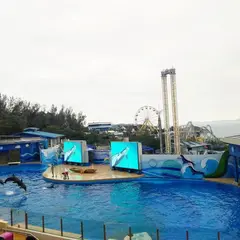 香港海洋公園（Ocean Park Hong Kong）