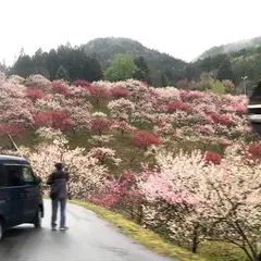 阿智☆昼神バスターミナル