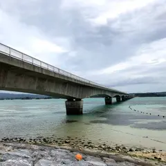 恋島