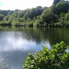 森林セラピー基地 樽田の森