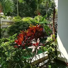 Siri Giriya Spa