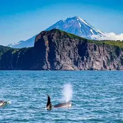 カムチャツカ半島