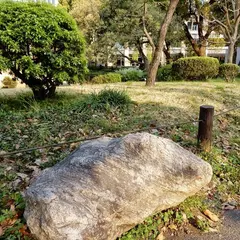 南極の石