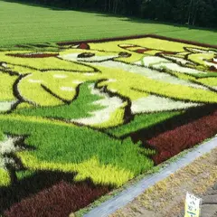 田んぼアート