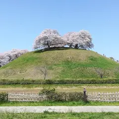 さきたま古墳公園