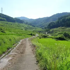 信州上田 稲倉の棚田