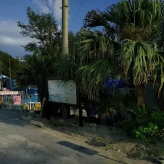 サザンクロス