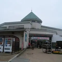 道の駅 しょうわ
