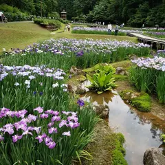 しらさぎ森林公園