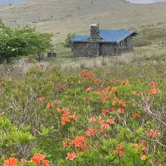 霧ヶ峰
