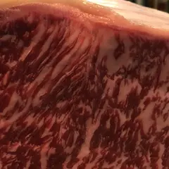 ビオテッカ