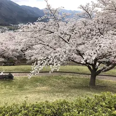 戸倉宿キティパーク