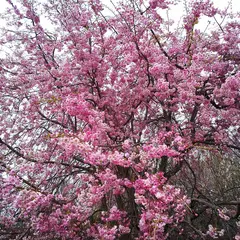 富谷山ふれあい公園