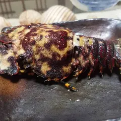 西郷食堂