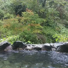 藤の森不動温泉 だるま湯