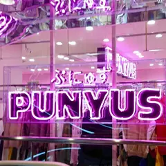 PUNYUS