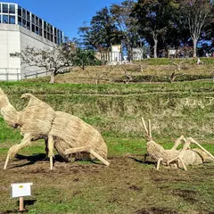 東京農業大学農学部 厚木キャンパス