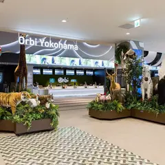 オービー横浜