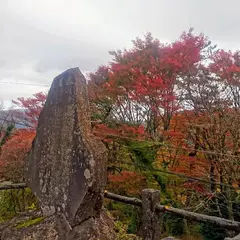 小涌谷蓬莱園