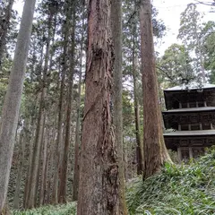 高蔵寺三重塔