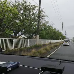 森田アロエ本舗