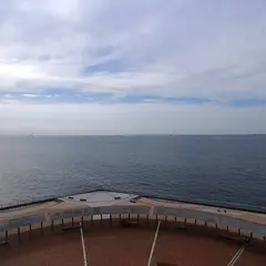 袖ヶ浦海浜公園タワー