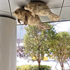 ジュゴン