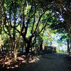 粟皇子神社