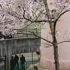 千光寺グランド駐車場