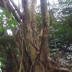 立石神社
