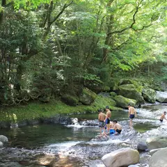 かっこうのさとキャンプ場