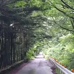 ささやきの小路