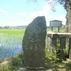 遊行柳