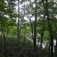 八千穂高原自然園
