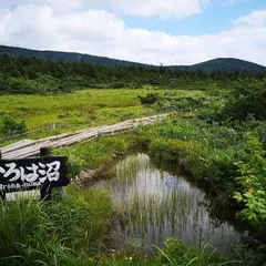 いろは沼