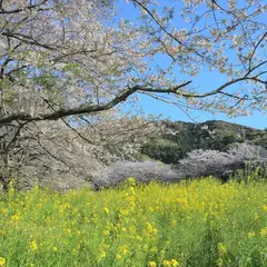 日野 元気な百姓達の里（賀茂郡南伊豆町）