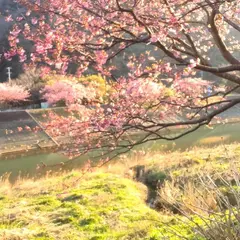 うみがめカヤックス