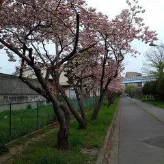 稲毛海岸公園