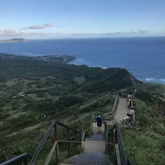 Diamond head（ダイヤモンド・ヘッド）