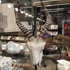 科学博物館（Science Museum）